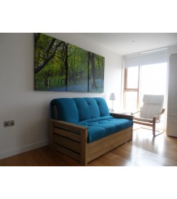 Edinburgh Futon Sofabed
