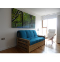 Edinburgh Futon Sofabed