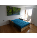 Edinburgh Futon Sofabed
